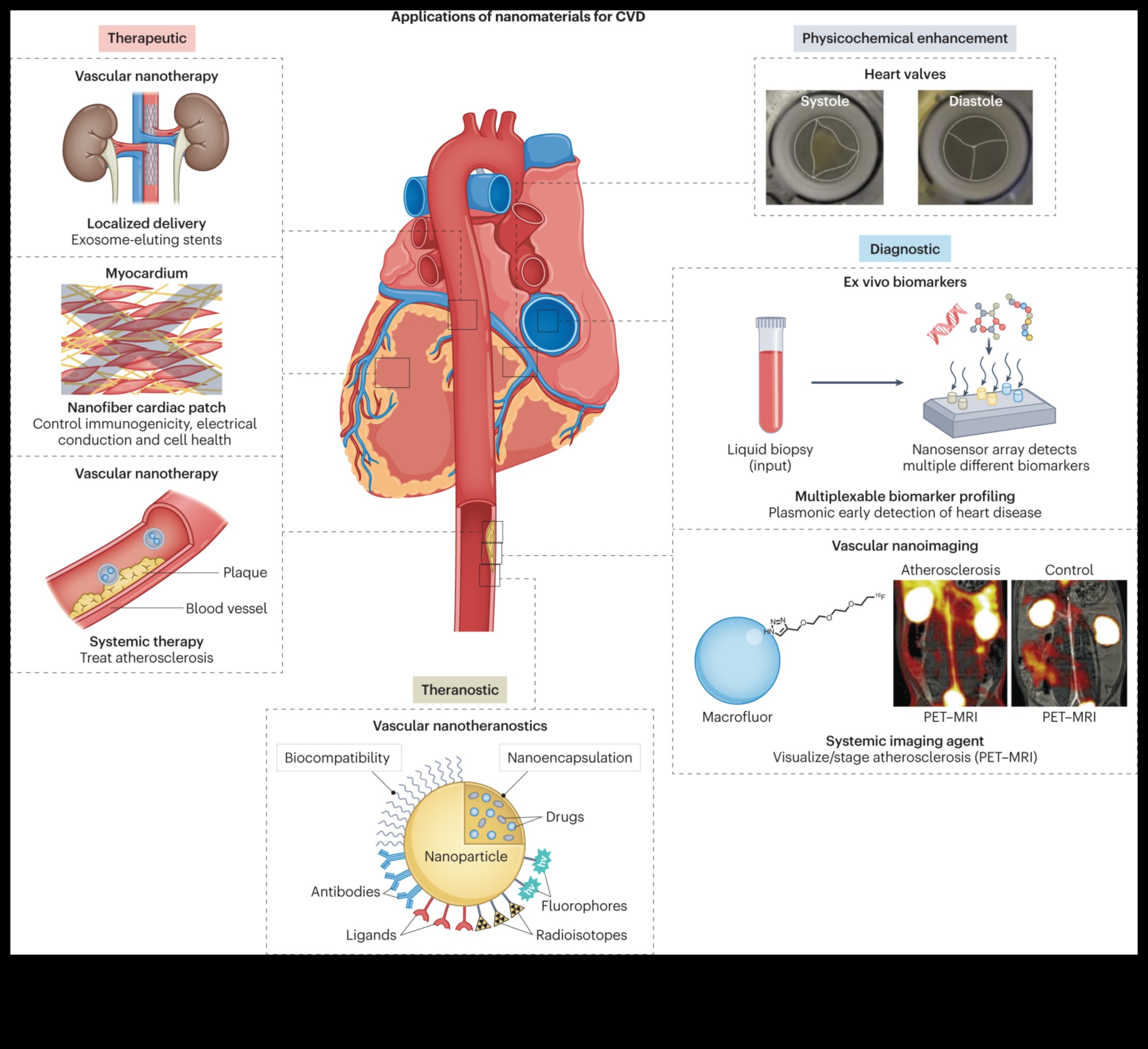 שחרור דיוק ננוטכנולוגי: ערכת הכלים של ננו אקספלורר בעיצוב
