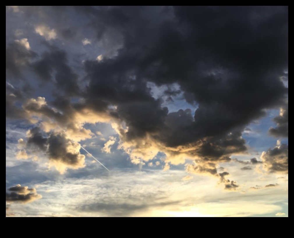 מהי ההשפעה של זיהום האור על הנראות של נופים שמימיים?