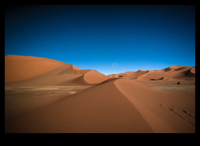 Sand Dunes Nature's Sculpted Playground 2 הדים במדבר: דיונות חול מעוצבות על ידי הרוח