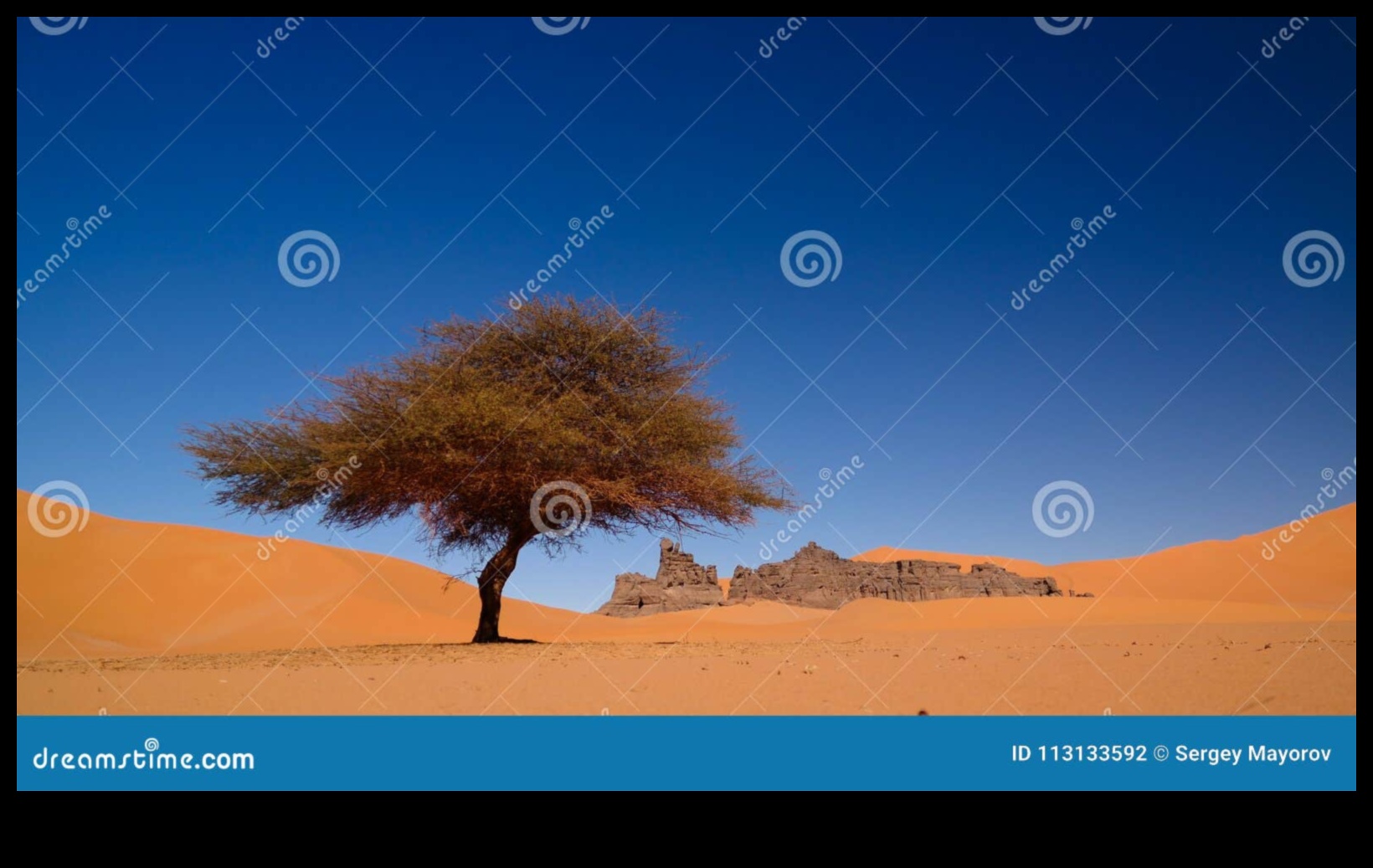 מגרש המשחקים המפוסל של דיונות חול של הטבע 4 הדים במדבר: דיונות חול מעוצבות על ידי הרוח