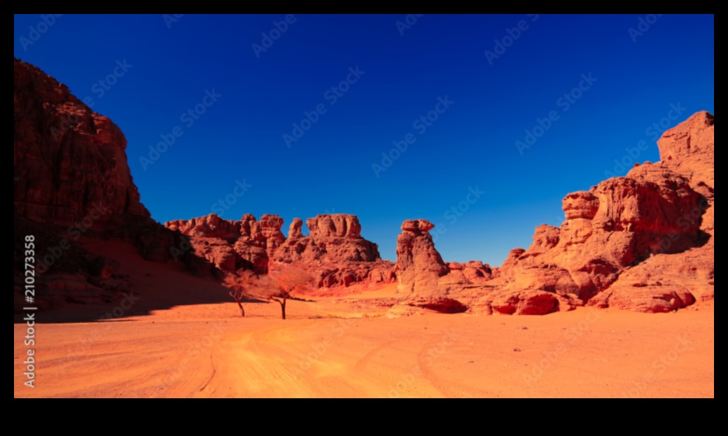 מגרש המשחקים המפוסל של דיונות חול של הטבע 3 הדים במדבר: דיונות חול מעוצבות על ידי הרוח