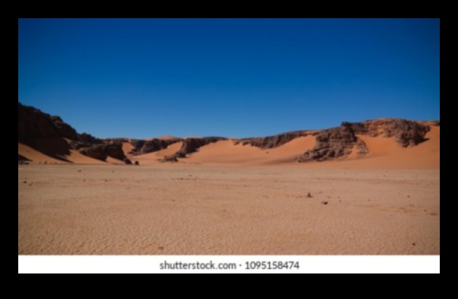 מגרש המשחקים המפוסל של דיונות חול של הטבע 5 הדים במדבר: דיונות חול מעוצבות על ידי הרוח