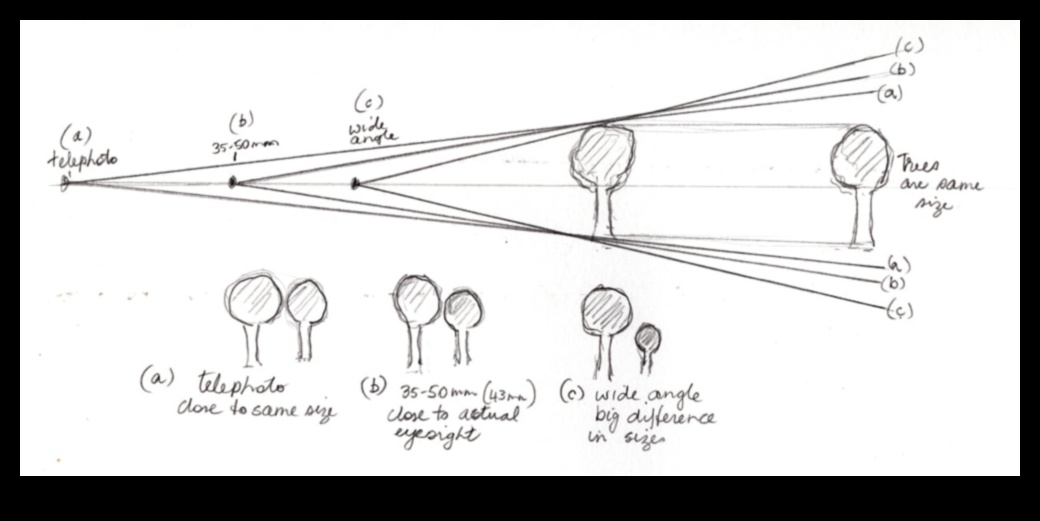 עיצוב פרספקטיבות: אמנות דרך עדשות שונות באינטרנט של הדברים