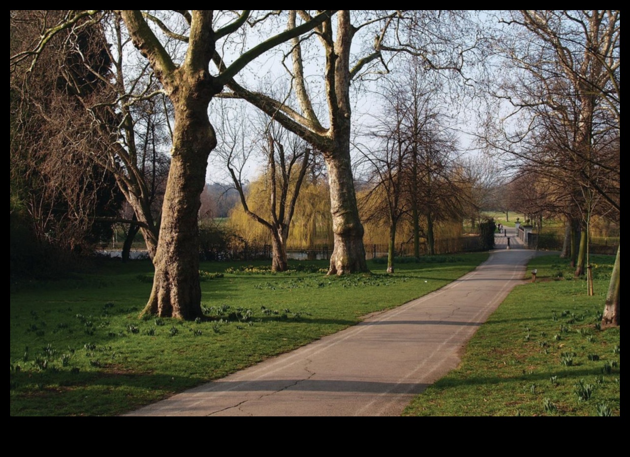 כיצד תופסות תרבויות שונות את היופי של נופים?