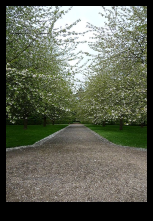כיצד תופסות תרבויות שונות את היופי של נופים?