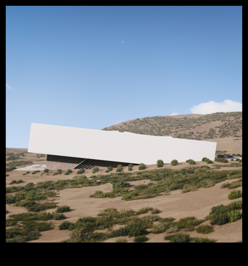 פלאי המדבר: השלווה של נופים יבשים