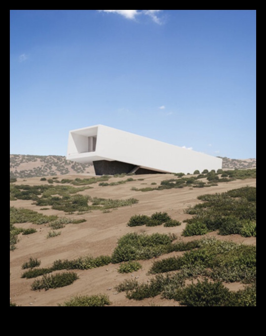 פלאי המדבר: השלווה של נופים יבשים