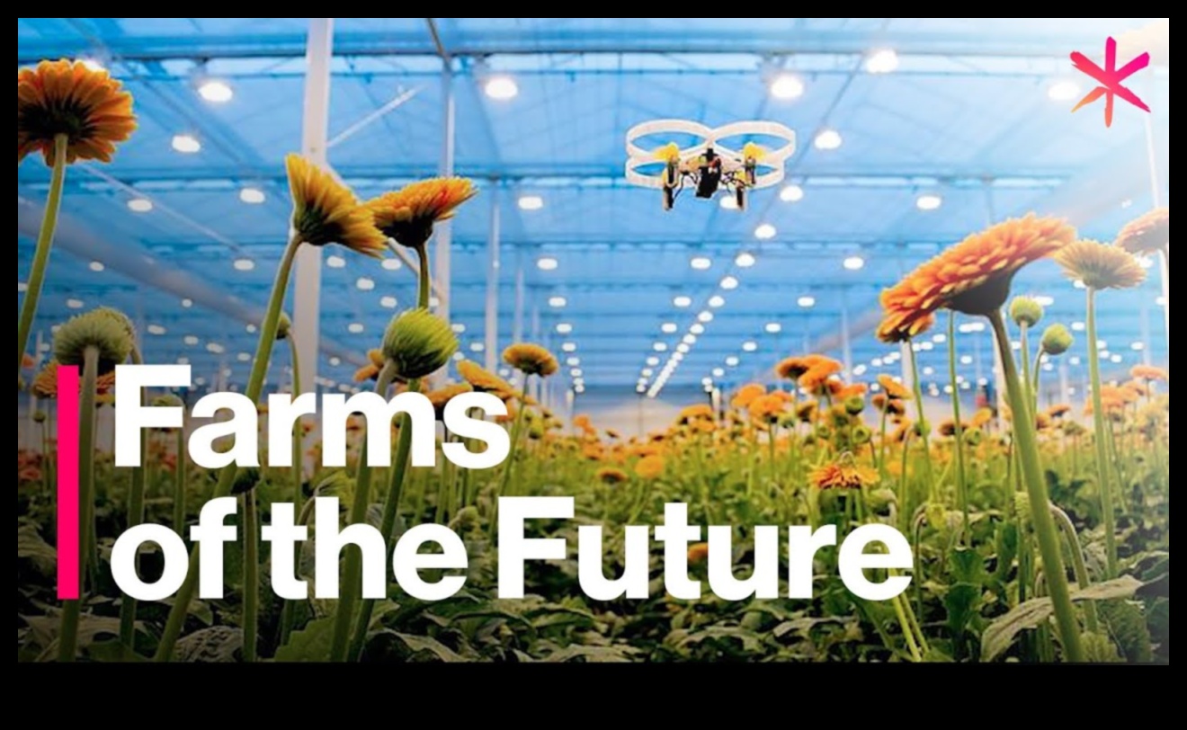 יופי קציר: אדמות חקלאיות ושדות יבול מסביב לעולם