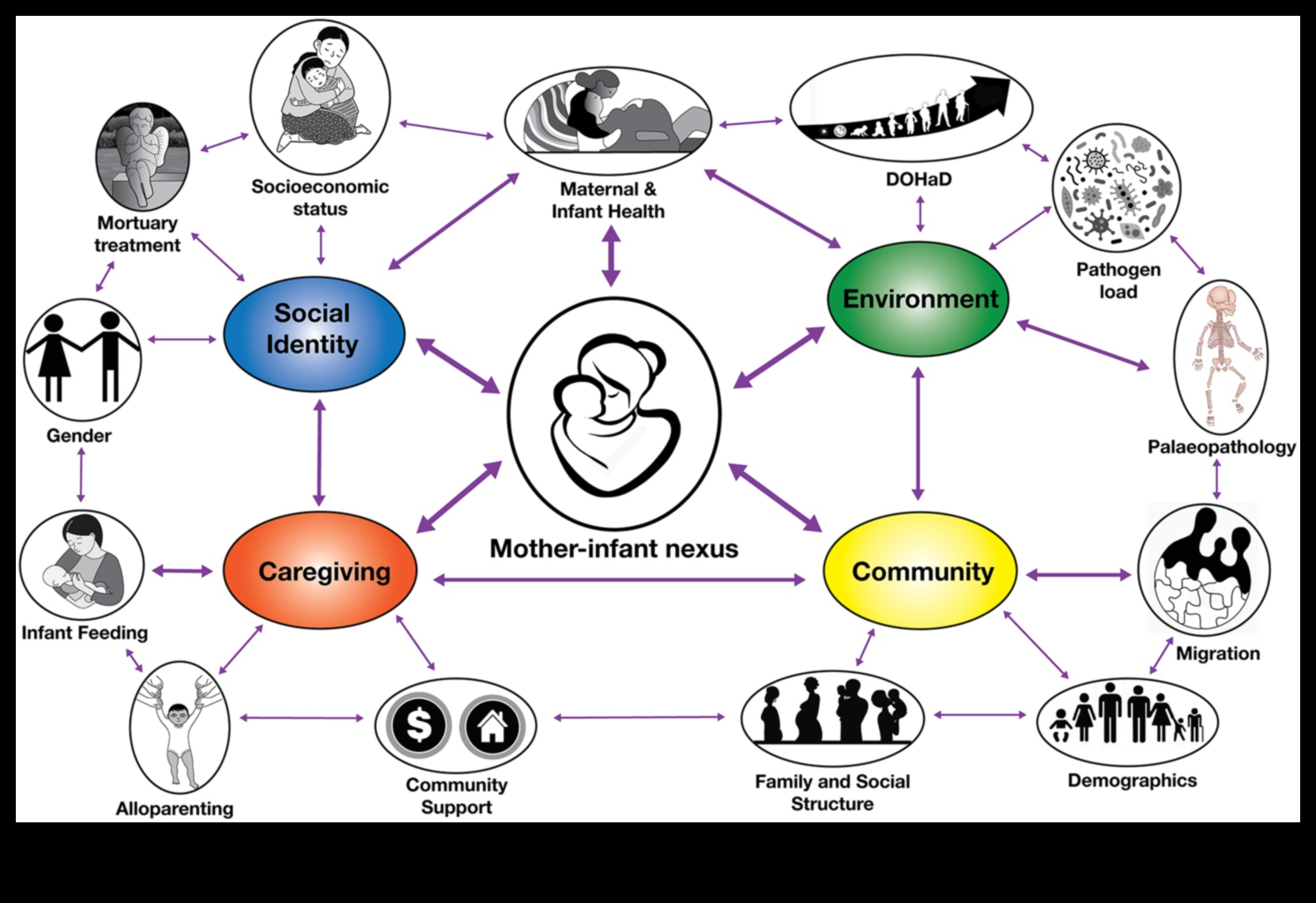 ערש הטיפול: גישות הוליסטיות לבריאות התינוק