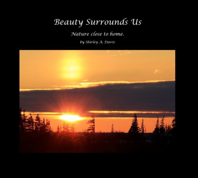 נופים דינמיים בתנועה: היופי המשתנה של הטבע