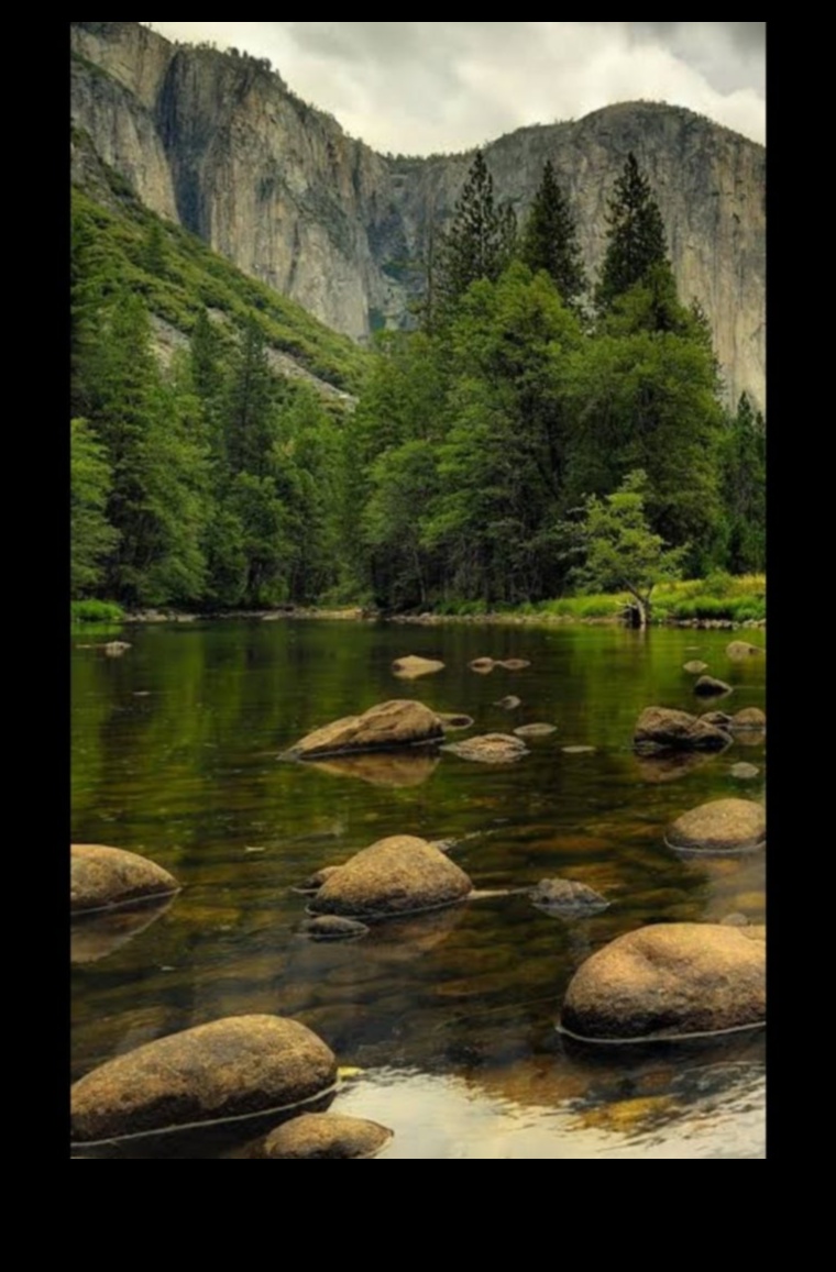 נופים דינמיים בתנועה: היופי המשתנה של הטבע