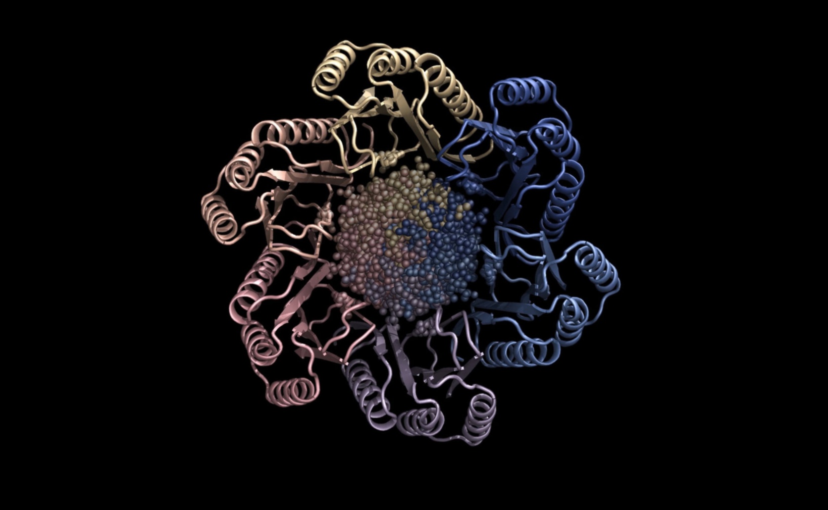 The Art of Health Pixels מדריך יצירתי לחקר ביוטכנולוגיה 5 אמנות פיקסלים בריאות: שליטה במלאכת חקר ביוטכנולוגיה יצירתית