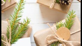 השומר הירוק: מתנות ידידותיות לסביבה לחיים בר קיימא