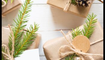 השומר הירוק: מתנות ידידותיות לסביבה לחיים בר קיימא