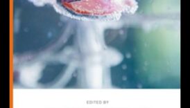 אמנות פיקסלים בריאות: שליטה במלאכת חקר ביוטכנולוגיה יצירתית