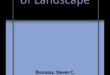 כיצד תופסות תרבויות שונות את היופי של נופים?