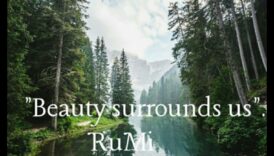 נופים דינמיים בתנועה: היופי המשתנה של הטבע