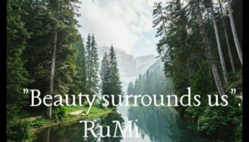 נופים דינמיים בתנועה: היופי המשתנה של הטבע