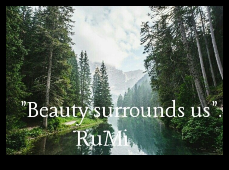 נופים דינמיים בתנועה: היופי המשתנה של הטבע