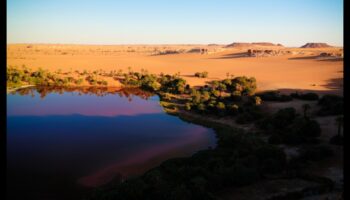 פלאי המדבר: השלווה של נופים יבשים