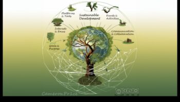 סימפוניית התהליך: תזמורת צמיחה וחזון