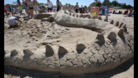 הדים במדבר: דיונות חול מעוצבות על ידי הרוח