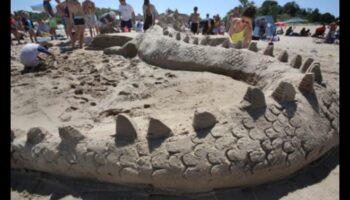 הדים במדבר: דיונות חול מעוצבות על ידי הרוח