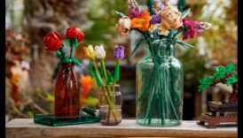 פריטים בוטניות פרחוניות ליום ולנטיין פורח 2 פריחה פרחונית: מתנות בוטניות ליום ולנטיין פורח