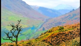 Reverie פואטי: פסוקים בהשראת היופי של נופים