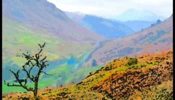 Reverie פואטי: פסוקים בהשראת היופי של נופים